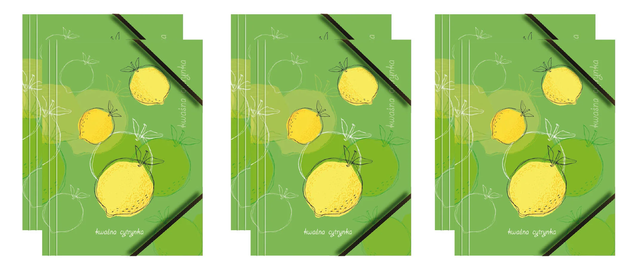 Teczka kartonowa z grafiką i gumką BT601-A1
