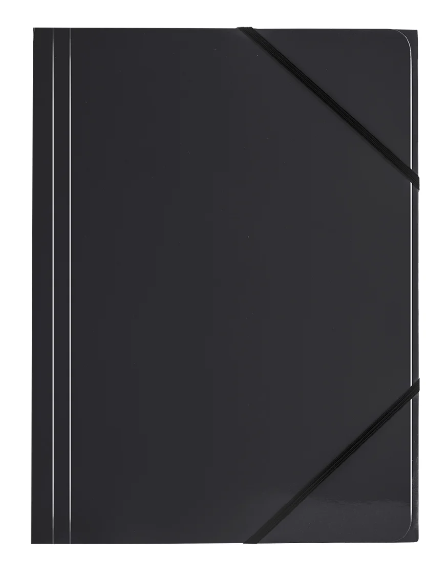 Teczka kartonowa z gumką narożną BT600-V